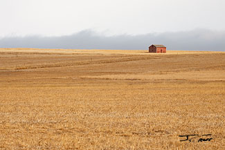 Red barn and barley stubble, near Freezeout Lake, Montana, U.S.