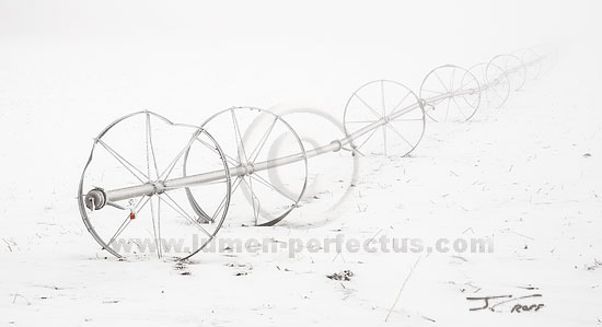 An old wheel-line irrigator disappears into the fog