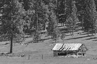 A small cabin near Potomac, Montana, U.S.