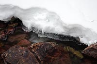Ice and argyllite, Snyder Creek, Glacier N.P., Montana, U.S.
