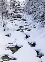 Snyder Creek, Glacier National Park, Montana, U.S.