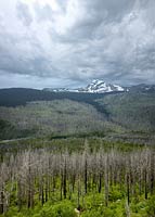 Storm over Heaven's Peak, Glacier National Park, Montana