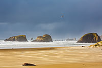 Bird Rocks during a brief break in the rain, Cannon Beach, Oregon, U.S.